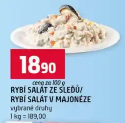 Terno Rybí salát ze sleďů/ Rybí salát v majonéze nabídka