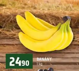 Terno Banány nabídka