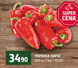Terno Paprika kapie nabídka