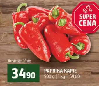 Terno Paprika kapie nabídka