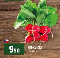 Terno Ředkvičky nabídka