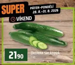 Terno OKURKA SALÁTOVÁ nabídka