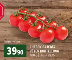 Terno CHERRY RAJČATA VĚTEV KOKTEJLOVÁ nabídka