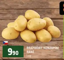Terno Brambory konzumní rané nabídka