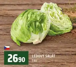 Terno Ledový salát nabídka