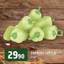 Terno Paprika světlá nabídka