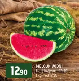 Terno MELOUN VODNÍ nabídka