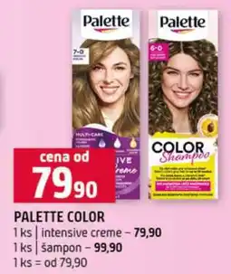 Terno PALETTE COLOR nabídka