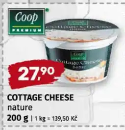 Terno Cottage Cheese nature nabídka
