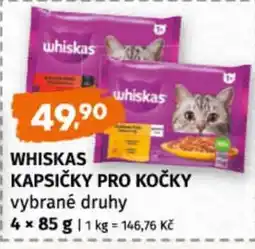 Terno Whiskas kapsičky pro kočky nabídka