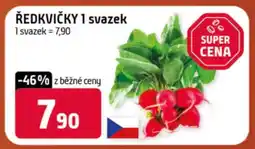 Terno Ředkvičky 1 svazek nabídka