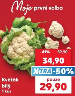 Kaufland Květák bílý nabídka
