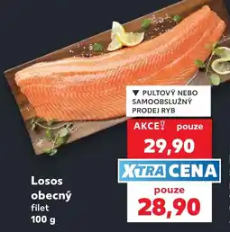 Kaufland Losos obecný filet nabídka