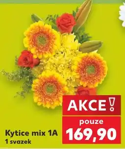 Kaufland Kytice mix 1A nabídka