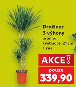 Kaufland Dračinec nabídka
