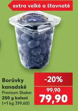 Kaufland Borůvky kanadské Premium Shaker nabídka