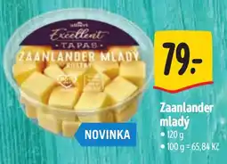 Albert Excellent Tapas Zaanlander mladý nabídka