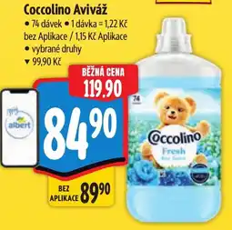 Albert Coccolino Aviváž nabídka