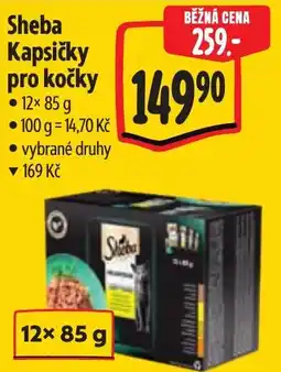 Albert Sheba kapsičky pro kočky nabídka