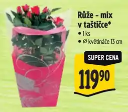 Albert Růže - mix nabídka