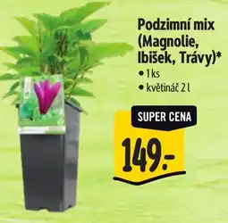 Albert Podzimní mix nabídka