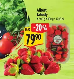 Albert Albert jahody nabídka