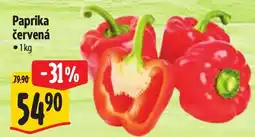 Albert Paprika červená nabídka