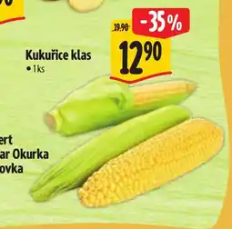 Albert Kukuřice klas nabídka
