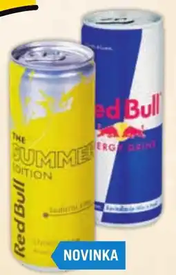 Albert Red Bull nabídka