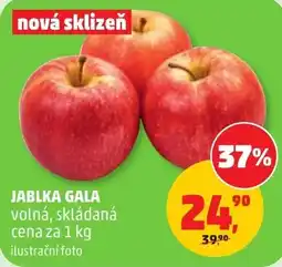 Penny Market Jablka gala nabídka