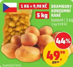 Penny Market Brambory konzumní rané nabídka