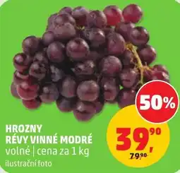 Penny Market Hrozný révy vinné modré nabídka