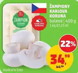 Penny Market Žampion žahradní nabídka
