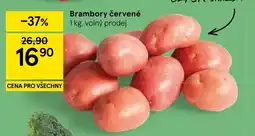 Tesco Brambory červené nabídka
