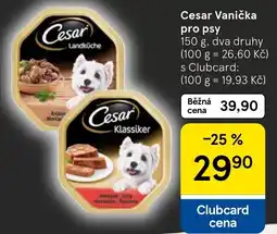 Tesco Cesar Vanička pro psy nabídka
