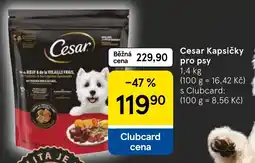 Tesco Cesar kapsičky pro psy nabídka