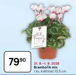Tesco Brambořík mix nabídka