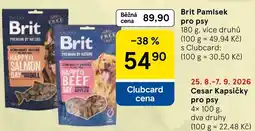 Tesco Brit Pamlsek pro psy nabídka