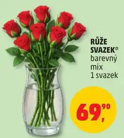Penny Market Růže svazek nabídka