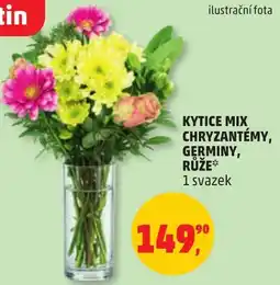 Penny Market tin kytice mix chryzantémy, germíny, růže* nabídka