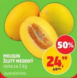 Penny Market Meloun žlutý medový nabídka