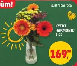 Penny Market Kytice harmonie nabídka