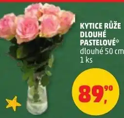 Penny Market Kytice růže dlouhé pastelové nabídka
