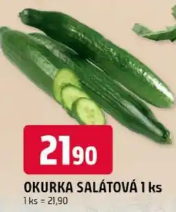 Trefa Okurka salátová nabídka
