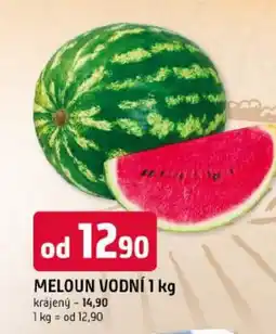 Trefa Meloun vodní nabídka