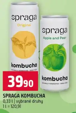 Terno Spraga kombucha nabídka
