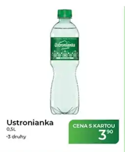 Tamda Foods Ustronianka nabídka