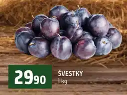 Terno Švestky nabídka