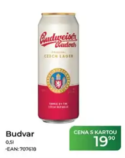 Tamda Foods Budvar nabídka