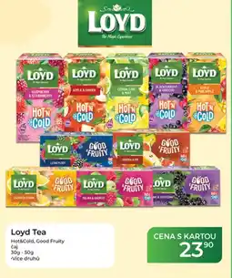 Tamda Foods Loyd Tea nabídka